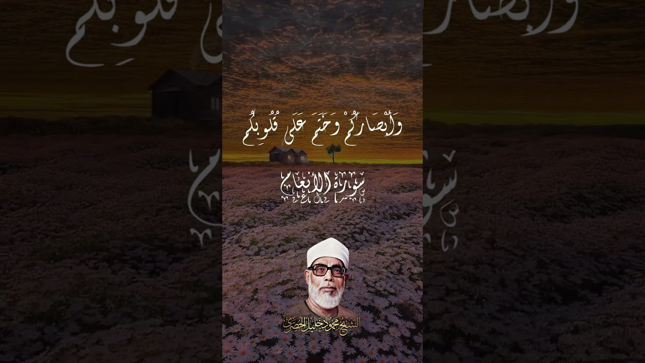 ( قُلْ أَرَأَيْتُمْ إِنْ أَخَذَ اللَّهُ سَمْعَكُمْ )