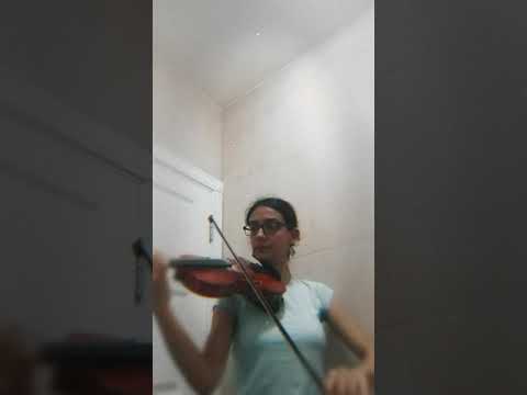 Fikrimin ince gülü Turkish song violin cover #turkishsong #violinist #violincover #acoustic