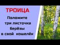 Троица - положите три листочка берёзы в кошелёк.