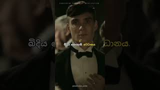 Shelby වග වනන උපදස 5 ක
