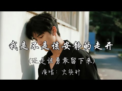 大头针 - 我是不是该安静的走开（还是该勇敢留下来）『我是不是该安静的走开 还是该勇敢留下来。』『动态歌词MV』#翻唱 #伤感音乐 #推荐好听的歌曲