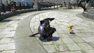 Final Fantasy XIV Minions - Wayward Hatchling