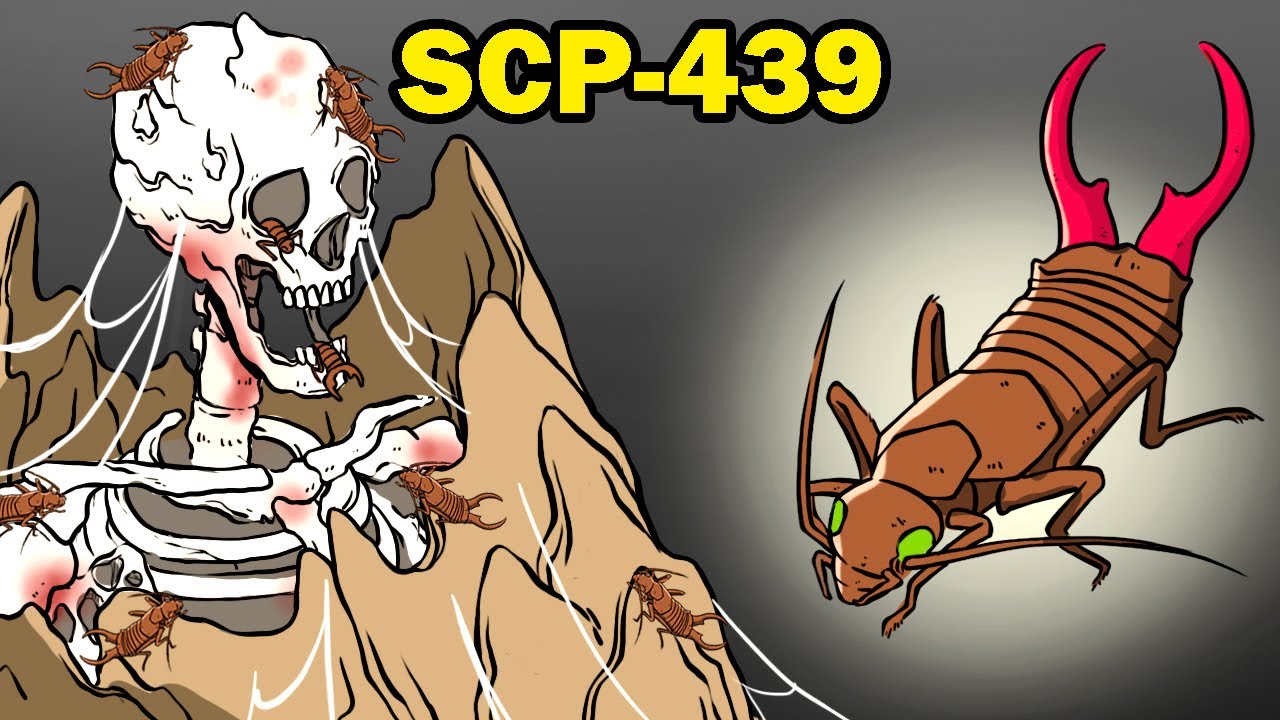 Chara (SCP 4394) /Kindred. (4394-1) (@4394Scp) / X