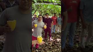 Momentos Abençoados Missão Tuere Bela Vista #ccb #hinosccb #ccbhinos #dueto #musicosccb