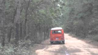 1970 VW bus ride. Adventure thru the pinelands of NJ.