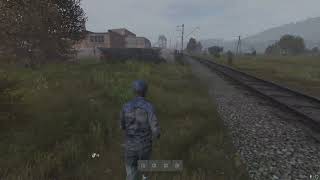 DayZ summed up in 20 seconds