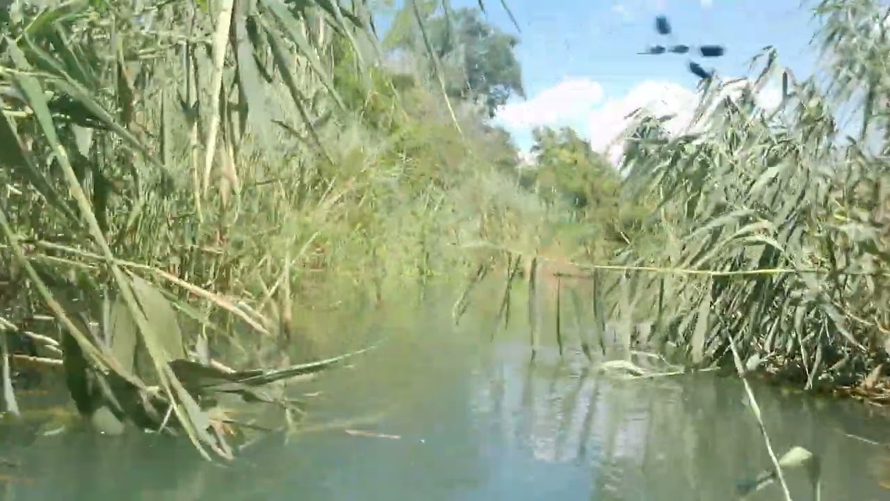 A Zátonyi-Duna felső szakasza