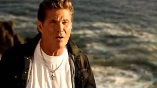 David Hasselhoff  - 