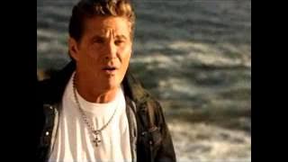 David Hasselhoff  - 