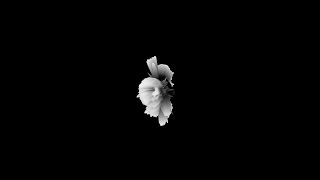 Human flowers