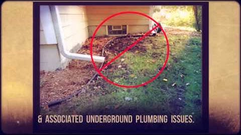 The Gutter Shutter Co.