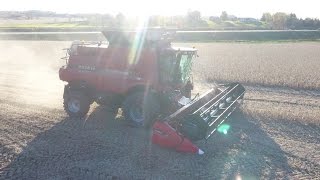 harvest 2016: Cutting Beans and corn