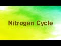 Nitrogen Cycle: Nitrogen Fixation, Nitrification, Assimilation, Ammonification, and Denitrification