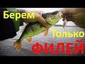 Рыбалка с ночёвкой на острове Сааремаа. Окунь на вертушки и воблеры Pontoon21