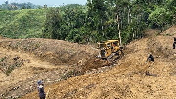 Very impressive! Caterpillar D6R XL bulldozer tidying up abandoned land