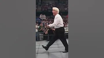Ric Flair Strut Vs Jeff Jarrett Strut Shorts 