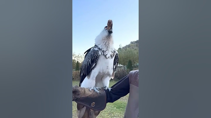 Vulture swallows big bone whole! 😳🤯 - 🎥 Viralhog