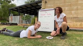 Discover Deadly Snake Challenge - eat a snack bar like a snake 🐍🍽