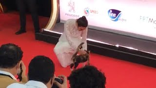 الحق سارة عبد الرحمن تنزل وتحضن القطة مديحة الشهيرة في ختام مهرجان القاهرة السينمائي