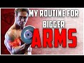 My Routine For Bigger Arms