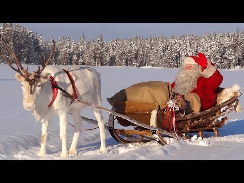 Vidéo: Cinq merveilles du Père Noël : un spectacle des créateurs du sapin de Noël en Crocus