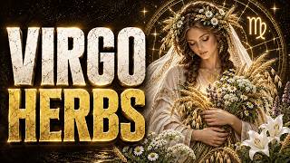 Virgo Season Herbs: Gentle Plant Medicine for Digestion, Nerves & Calm | Astro Herbalism