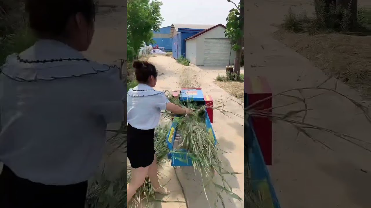  Fcnfm Discover The Advantages Of FCNFM S Multifunctional Silage Chopper