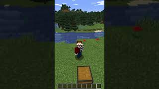 How to Break Bedrock in Minecraft 1.17 #shorts