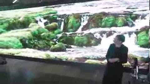 LANG AG on ISE TV 2014