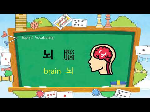 Korean TOPIK 2 Vocabulary 49 뇌腦 Brain 