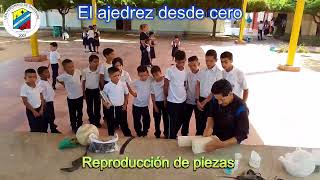 PROYECTO AJEDREZ, EDUCACIÓN PRIMARIA