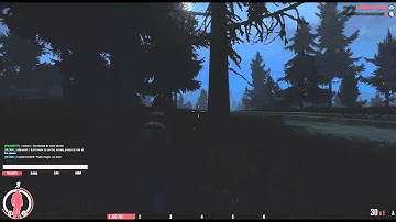 Infestation Aimbot Hacker