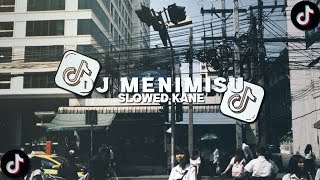 Dj Menimisu Slowed Kane Viral Tiktok 