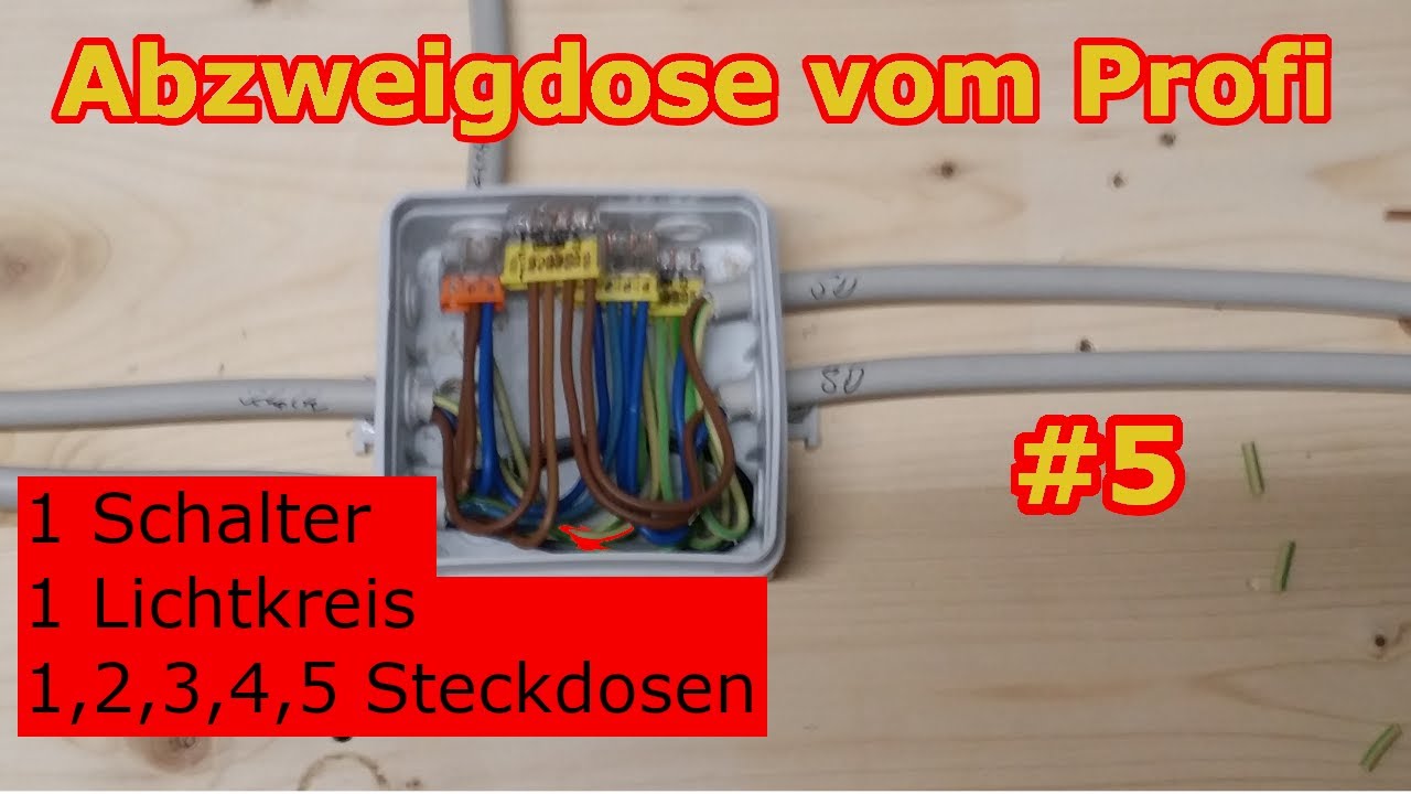 5 Adriges Kabel Lampe Und Steckdose Anschließen Violinist Aufregung Dienstag 5 adriges kabel steckdose anschließen