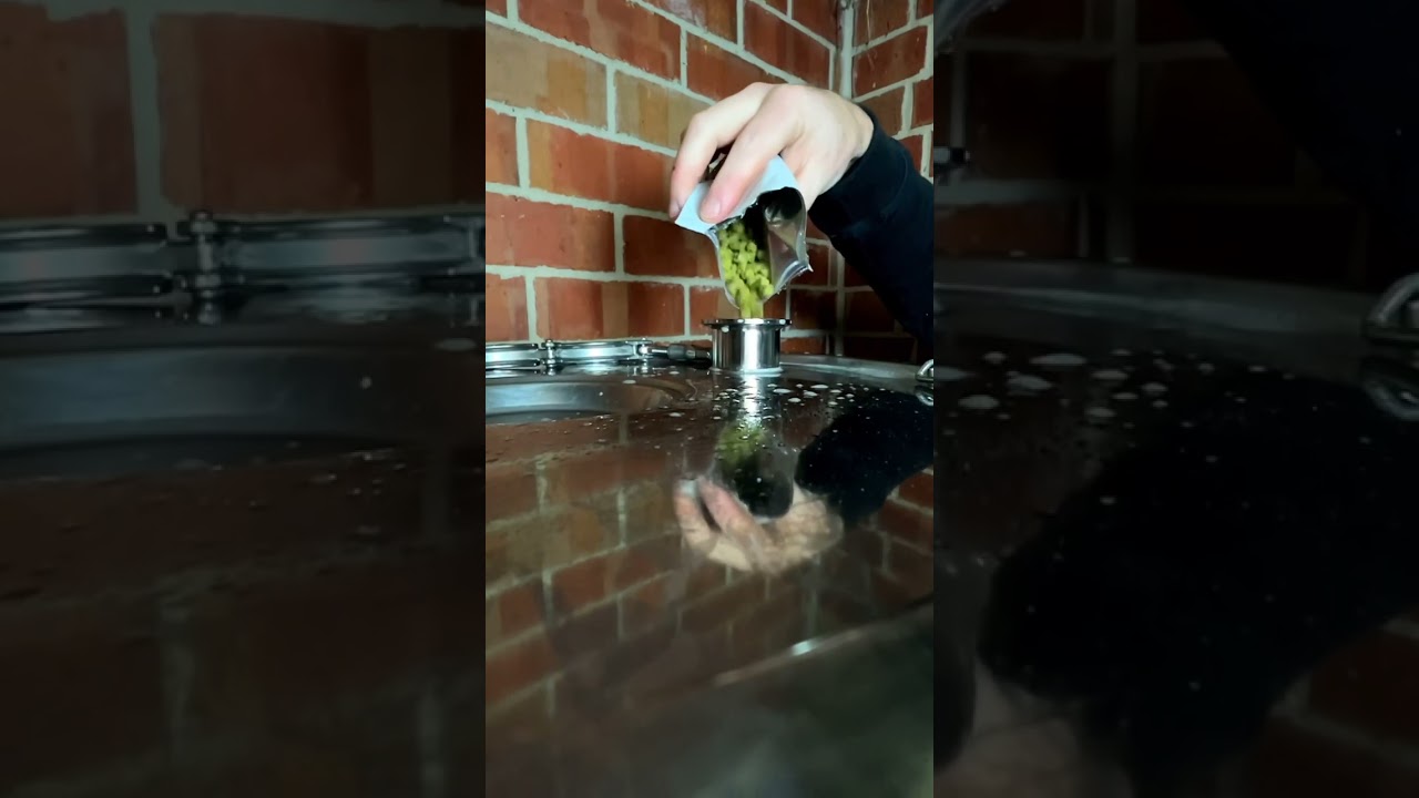 Happy Dry Hopping Day 🍻 