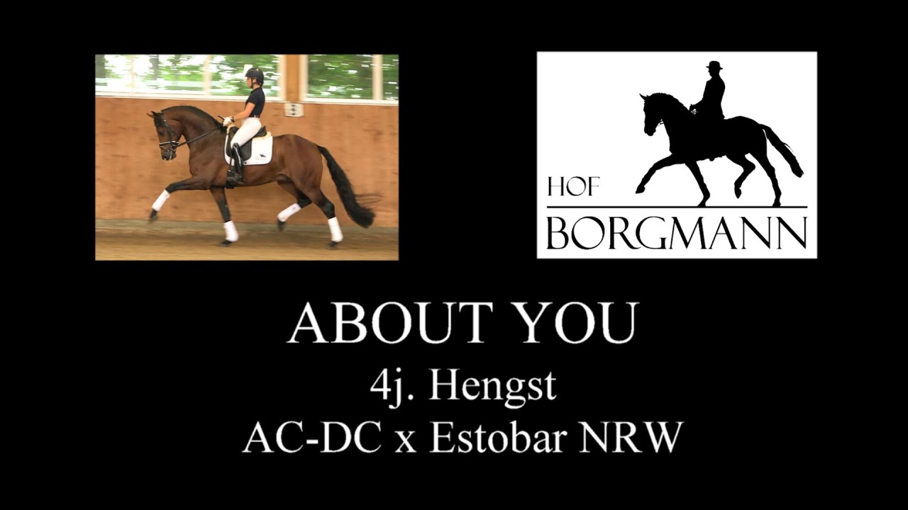 Vente Borgmann Hof Auction : 1,65 million pour le Top Price