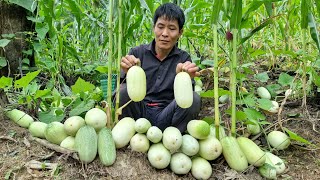 Harvesting Melon Go To The Market Sell - Gardening - Taking care of pets | Solo Survival