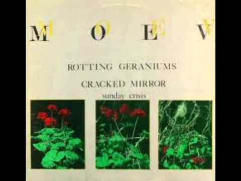 MOEV Rotting Geraniums 1982