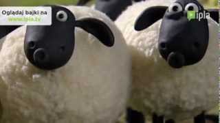 Baranek Shaun - Oglądaj Najlepsze Bajki W Ipli