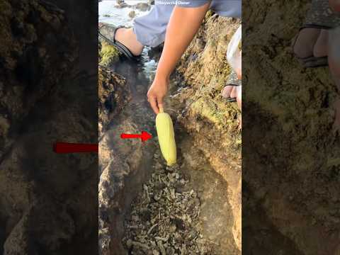 Hot Spring Boils Eggs in Minutes! 😱🥚🔥 #shorts