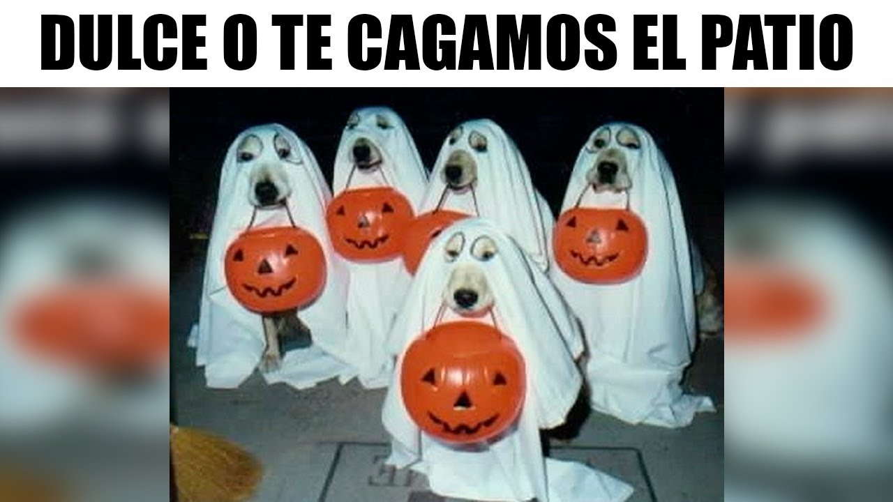 DULCE O - MEMES MUY XD