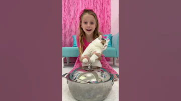 Nastya And Dad Play With Cat 