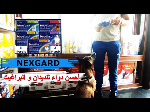 أحسن دواء للديدان و البراغيث و الجلد للكلاب 