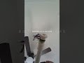 how to play the squid game song on recorder