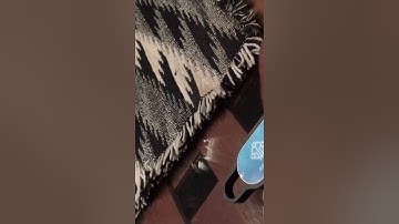 AWS IoT Button Demo