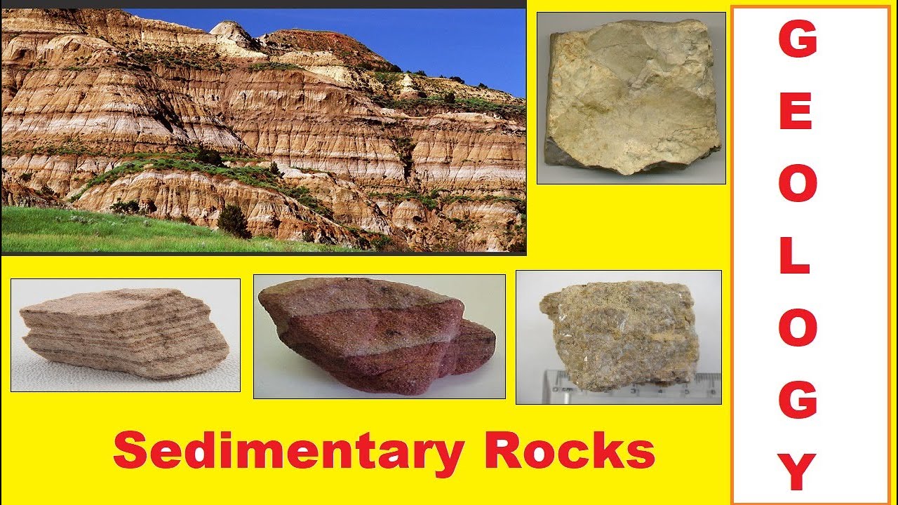 Geology Sedimentary Rocks: Formation and Types |Hawk College Lahore