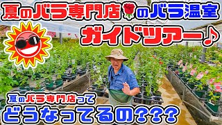 A guided tour of the greenhouse at the Summer Rose Specialty Store