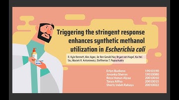 G7 - Triggering the Stringent Response Enhances Synthetic Methanol Utilization in Escherichia coli