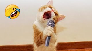 New Funny Animals 😂 Funniest Cats and Dogs Videos 😺🐶 #53 by BOO PETS 237 views 4 months ago 11 minutes, 44 seconds