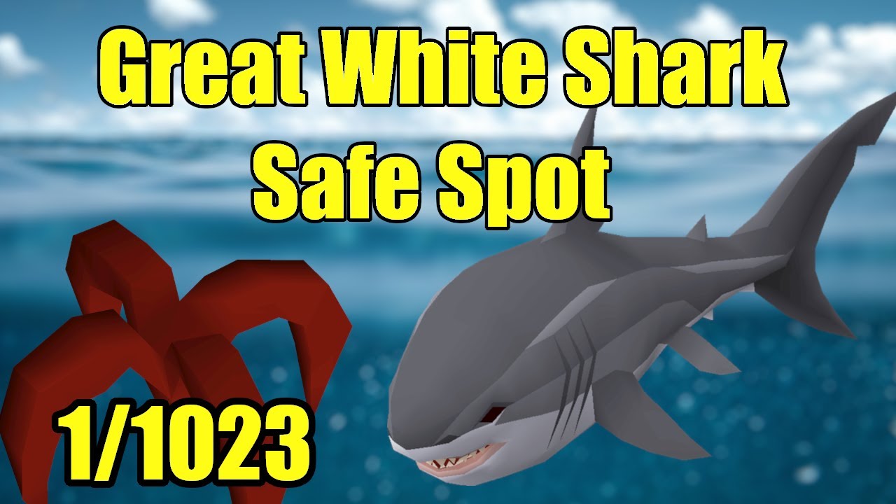 OSRS | Большая белая акула | Безопасное место | Установка с двумя пушками